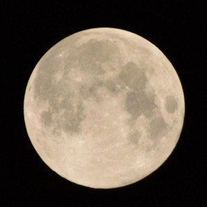 ２０１３年９月１９日　満月のお月様の写真