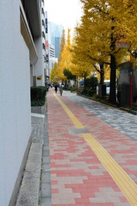 2014-12　昭和通り　新舗装