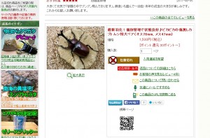 2015-04-20 ブログ用　カブトムシ価格